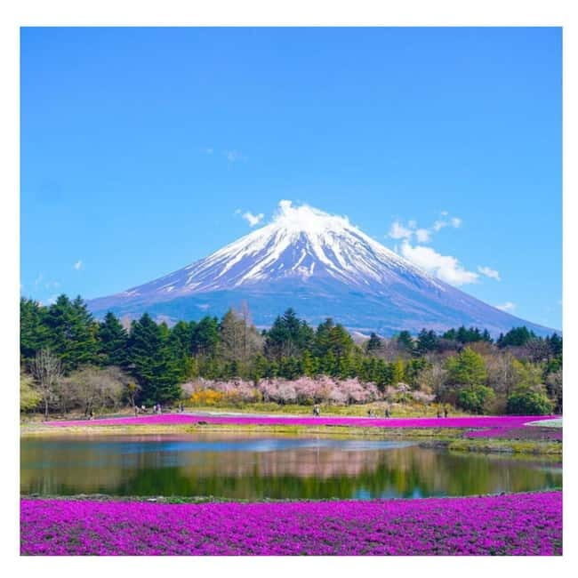 Mount Fuji Full Day Private Tour from Tokyo Full Customized - Oishi Park: Ice Cream, Quick Photos, and a Timing Trick