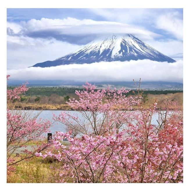 Mount Fuji Full Day Private Tour from Tokyo Full Customized - Gotemba Premium Outlets With Mt. Fuji Views (If You Keep That Stop)