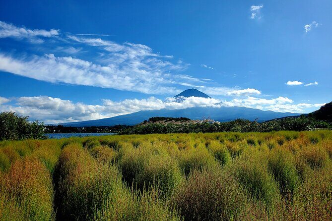 Mount Fuji Full-Day Private Tour from Yokohama Customizable - Oshino Hakkai: Eight Ponds, Koi Fish, and a World Heritage Feel