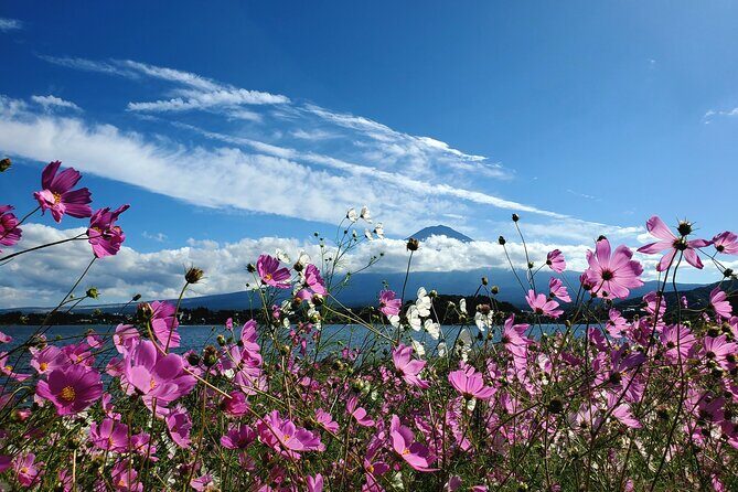 Mount Fuji Full-Day Private Tour from Yokohama Customizable - Lake Kawaguchiko: Lakeside Time With Boat and Ropeway Options