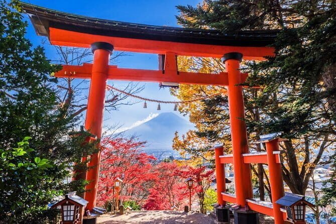 Mount Fuji Full Day Sightseeing Tour from Tokyo - Oishi Park and the Flowers Road: Fuji With a Color Story
