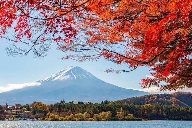 Mount Fuji Full Day Tour form Tokyo Lake Kawaguchi & Yamanaka - Morning Start From STAND TJapan: Getting Out of Tokyo Without Stress