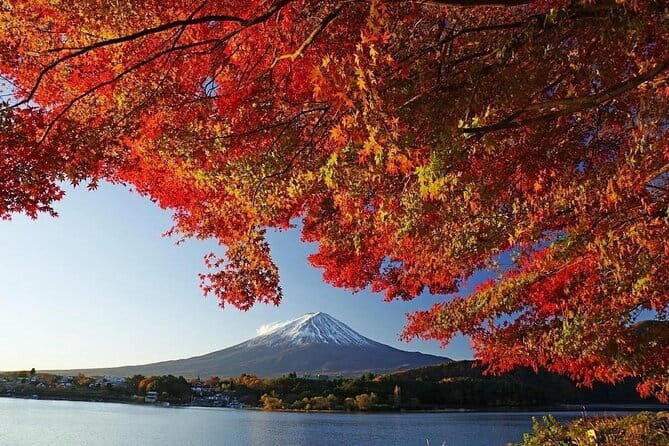 Mount Fuji Full Day Tour form Tokyo Lake Kawaguchi & Yamanaka - Oshino Hakkai: World Heritage Springs and Free Water