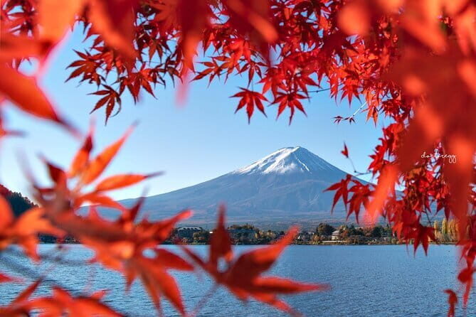 Mount Fuji Full Day Tour form Tokyo Lake Kawaguchi & Yamanaka - Lake Kawaguchiko: The Fuji Viewpoint Where Angles Multiply