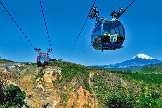Mount Fuji, Hakone and Owakudani One Day Bus Tour from Tokyo - Hakone Ropeway: Gondola Panoramas That Keep the Day Moving