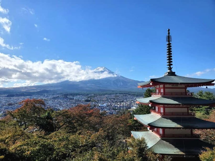 Mount Fuji & Hakone Full-Day Private Tour (Customizable) - Who should book this Fuji-Hakone private tour