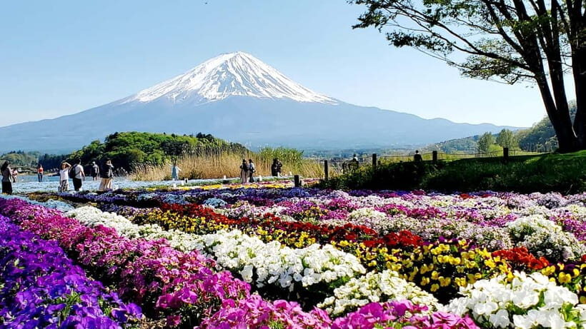 Mount Fuji & Hakone Full-Day Private Tour (Customizable) - Chureito Pagoda and Fuji Sengen Shrine: setting the Fuji vibe