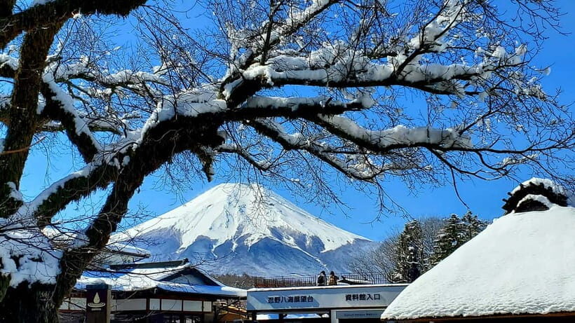 Mount Fuji & Hakone Full-Day Private Tour (Customizable) - Oshino Hakkai’s eight ponds: koi, clear water, and quick local flavor