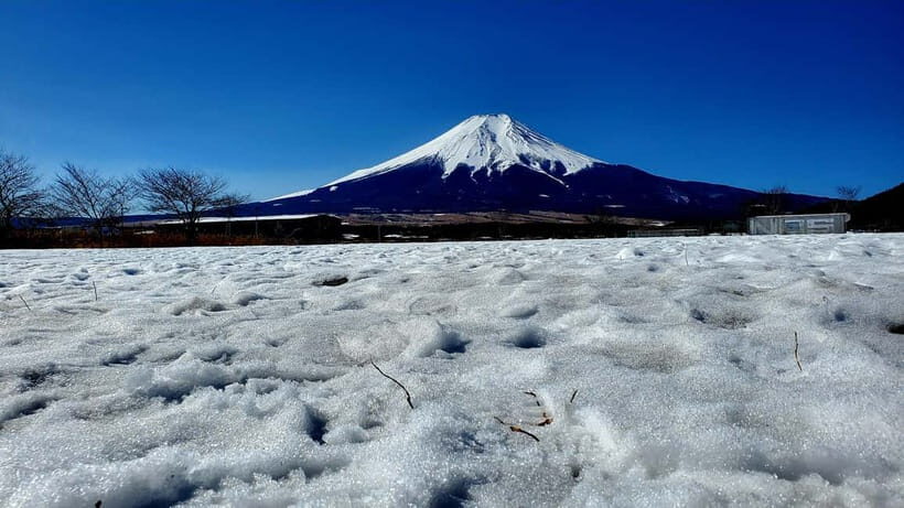 Mount Fuji & Hakone Full-Day Private Tour (Customizable) - Hakone Ropeway plus Owakudani: clouds, sulfur steam, and quick thrills