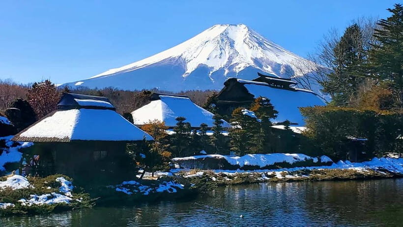 Mount Fuji & Hakone Full-Day Private Tour (Customizable) - Price and what you’re really paying for