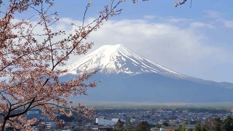Mount Fuji & Hakone Full-Day Private Tour (Customizable) - Starting in Tokyo: pickup, modern car, and the WhatsApp meet