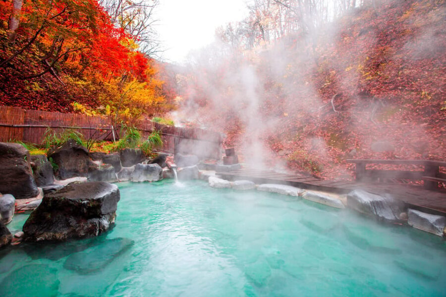 Mount Fuji - Hakone & Onsen Full Day Private Tour - A private day in Hakone that actually feels flexible