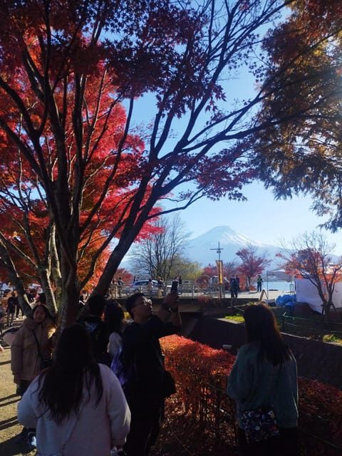 Mount Fuji - Hakone & Onsen Full Day Private Tour - Gotemba Premium Outlets: shopping as a practical finish