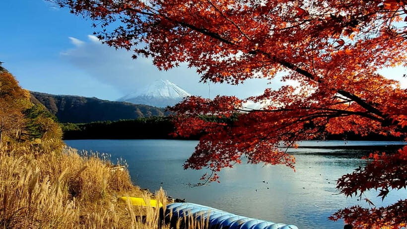 Mount Fuji & Hakone Private Tour with Bullet Train Return - Private pacing with a guide who keeps the day on track