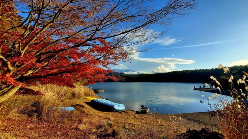 Mount Fuji & Hakone Private Tour with Bullet Train Return - Chureito Pagoda and Fuji Sengen Shrine: your Mt Fuji setup