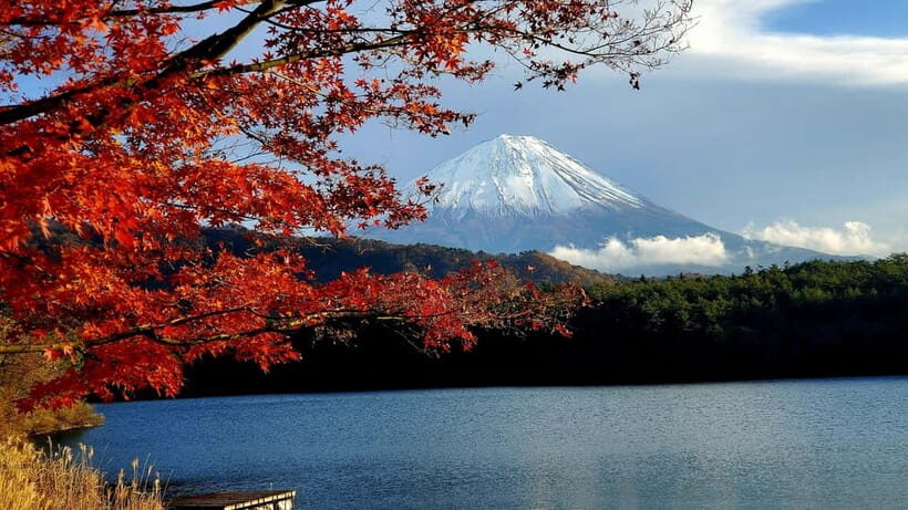 Mount Fuji & Hakone Private Tour with Bullet Train Return - Owakudani Valley: steam, mud pools, and strong sulfur air