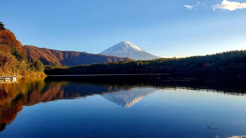 Mount Fuji & Hakone Private Tour with Bullet Train Return - Price and logistics: what $280 really buys you