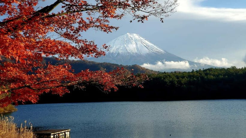 Mount Fuji & Hakone Private Tour with Bullet Train Return - Should you book this private Mt Fuji and Hakone day?