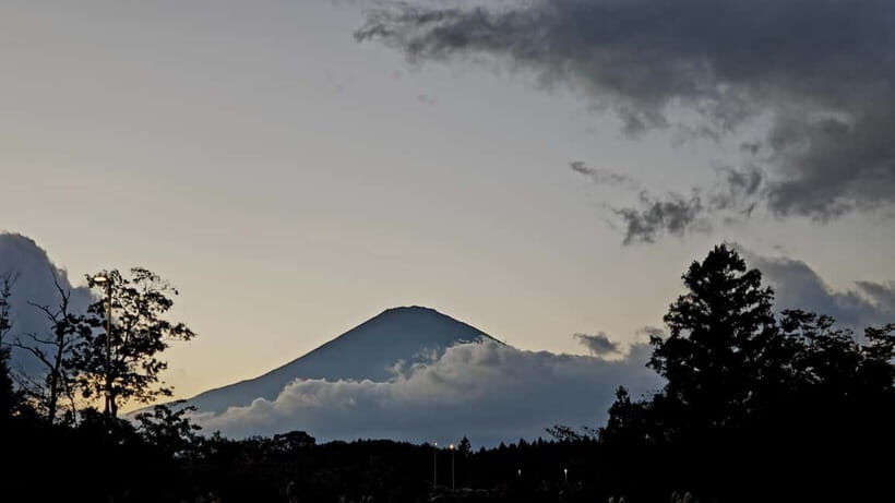 Mount Fuji & Hakone Private Tour with Bullet Train Return - FAQ