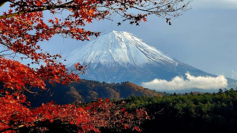 Mount Fuji & Hakone Private Tour with Bullet Train Return - Oshino Hakkai plus Fuji lakes: ponds, waterlines, and calm breaks