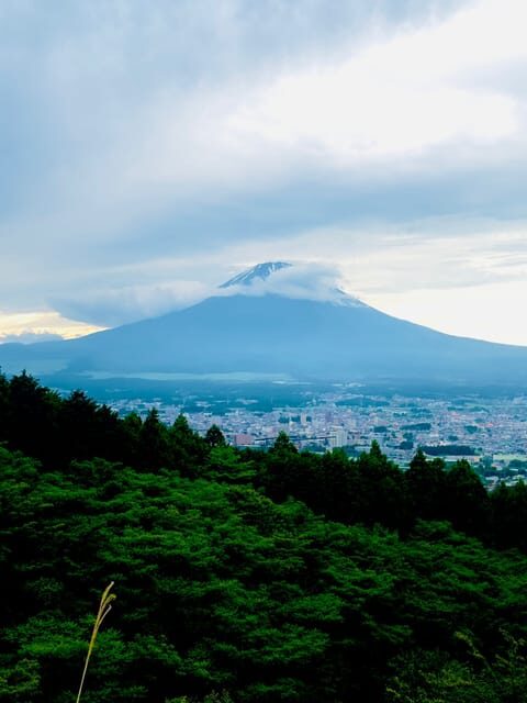 Mount Fuji Hakone with English-speaking Guide - Tokyo Pickup and the Rhythm of a One-Day Charter