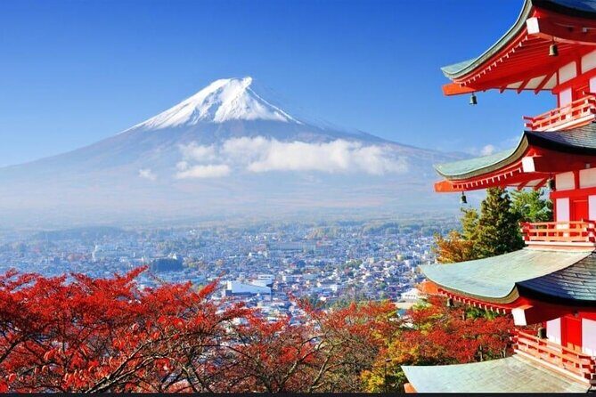 Mount Fuji & Lake Kawaguchi Day Trip with English-speaking Driver - Iyashi No Sato Nenba: A Traditional Village Stop That Needs a Pay Attention