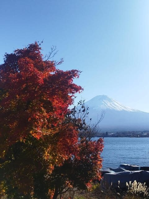 Mount Fuji-Lake Kawaguchi Private Tour with Bilingual Driver - A private Fuji day that feels built for real viewing