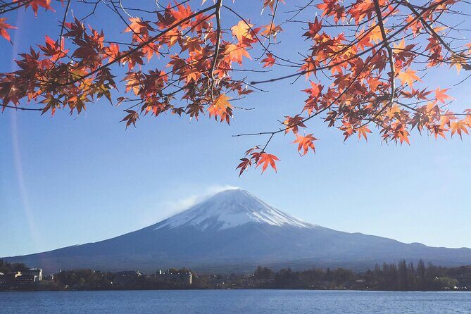 Mount Fuji (Mt. fuji) private tour by car with pickup from Tokyo - From Tokyo to Fuji by car: where this tour wins