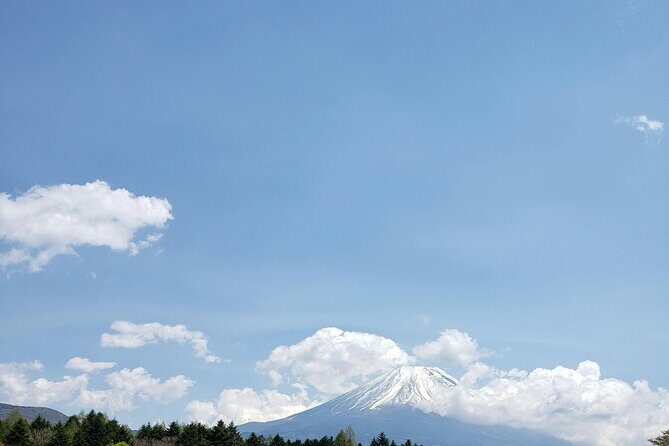 Mount Fuji (Mt. fuji) private tour by car with pickup from Tokyo - Oshino Hakkai: eight ponds fed by Fuji snowmelt
