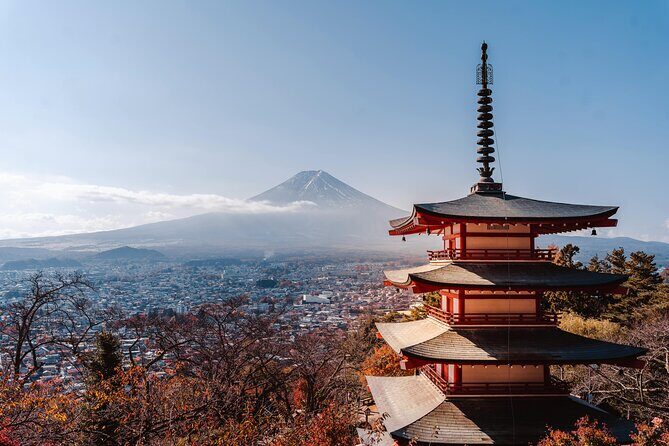 Mount Fuji (Mt. fuji) private tour by car with pickup from Tokyo - Saiko Iyashi no Sato Nemba: traditional houses and crafts