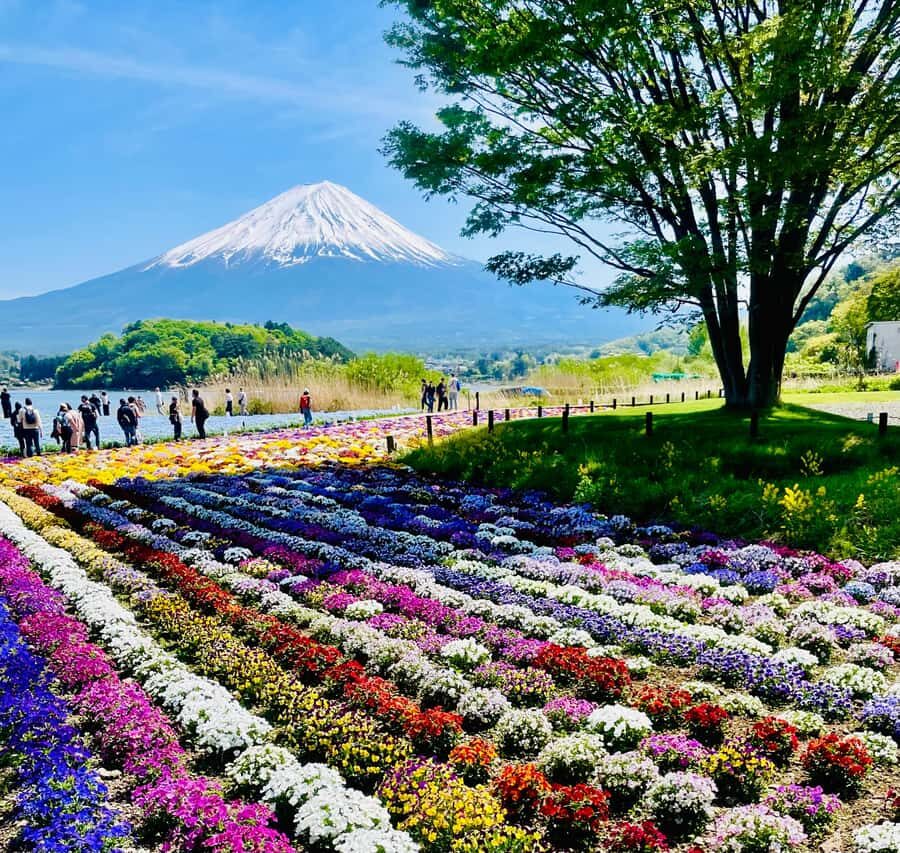 Mount Fuji One Day Private Tour With English Speaking Driver - Key things I’d focus on before you go