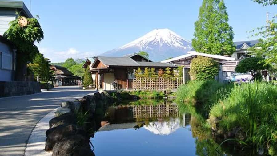Mount Fuji One Day Private Tour With English Speaking Driver - Why a private Mt. Fuji day trip beats the bus plan