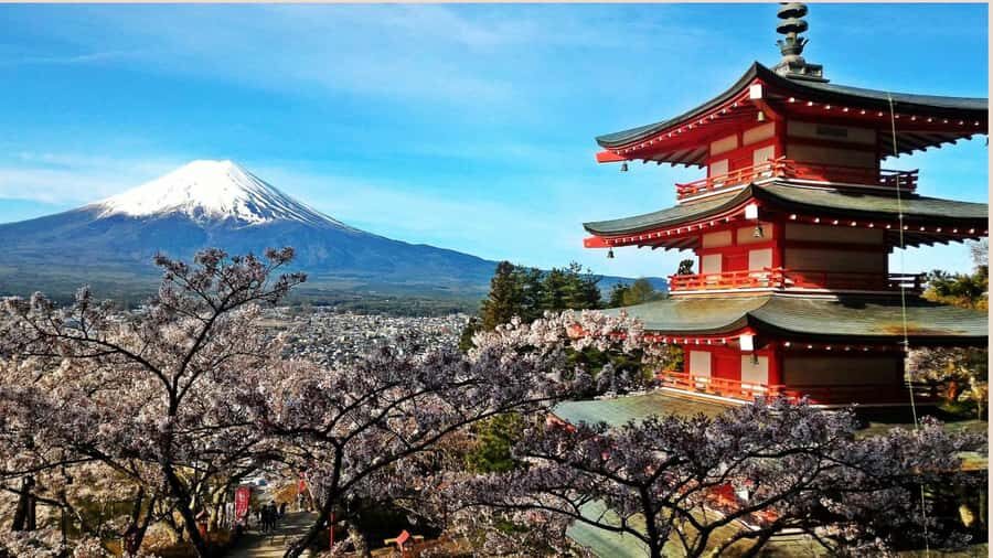 Mount Fuji One Day Private Tour With English Speaking Driver - Oshino Hakkai: traditional village vibes with Fuji water at the center