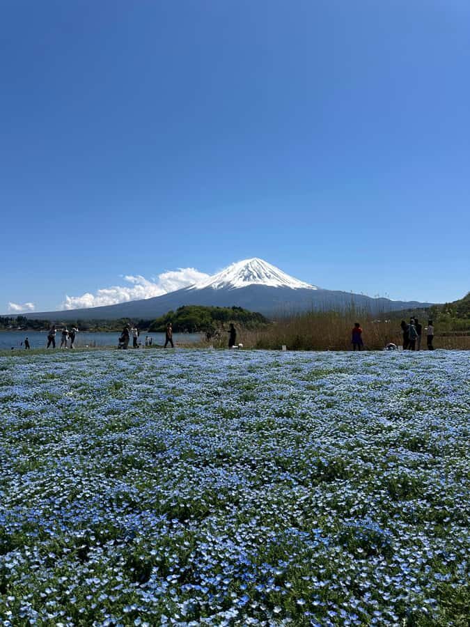 Mount Fuji One Day Private Tour With English Speaking Driver - 5th Station and shrine time: cultural context without eating the whole day