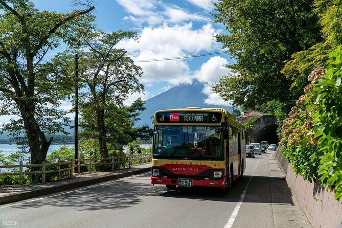 Mount Fuji Passes (optional) - How this pass changes your Mount Fuji day (and your stress level)