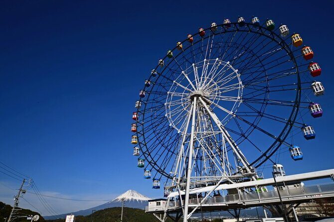 Mount Fuji Passes (optional) - Grinpa and Fuji-Q Highland: thrills with built-in freebies