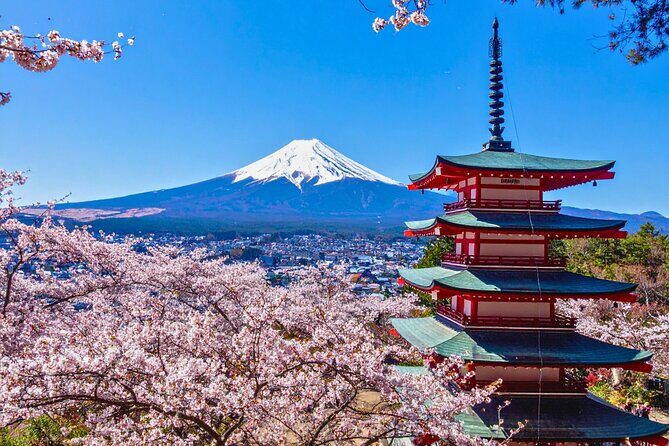 Mount Fuji Private Custom Tour with Local English Speaking Guide - Key highlights you’ll feel immediately