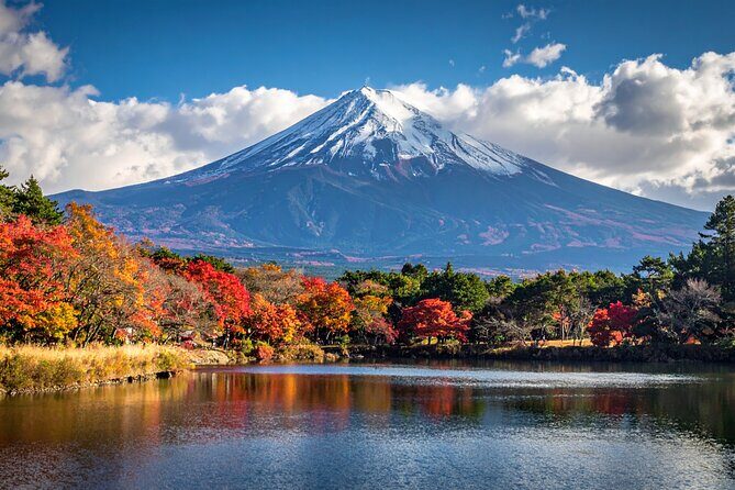 Mount Fuji Private Custom Tour with Local English Speaking Guide - Why this private Fuji day beats squeezing into a group plan
