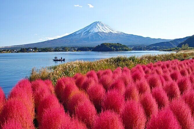 Mount Fuji Private Custom Tour with Local English Speaking Guide - Arakurayama Sengen Park and Chureito Pagoda: classic Fuji in a scenic setting