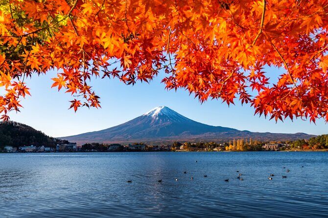 Mount Fuji Private Custom Tour with Local English Speaking Guide - Lake Kawaguchiko: calm Fuji views with practical break stops