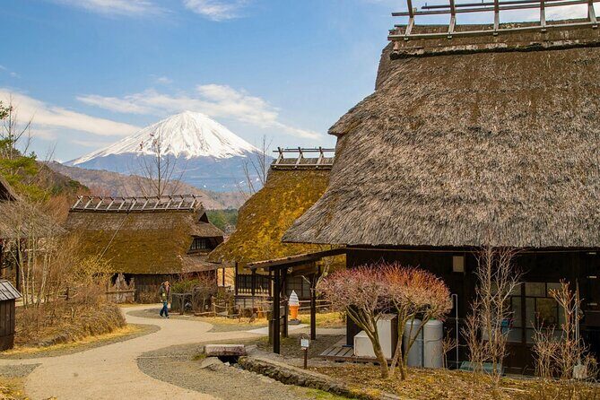 Mount Fuji Private Custom Tour with Local English Speaking Guide - Saiko Iyashi no Sato Nemba: traditional village atmosphere near the water