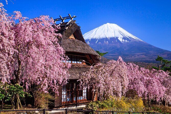 Mount Fuji Private Custom Tour with Local English Speaking Guide - Meeting Lucas and getting rolling from Tokyo or Yokohama