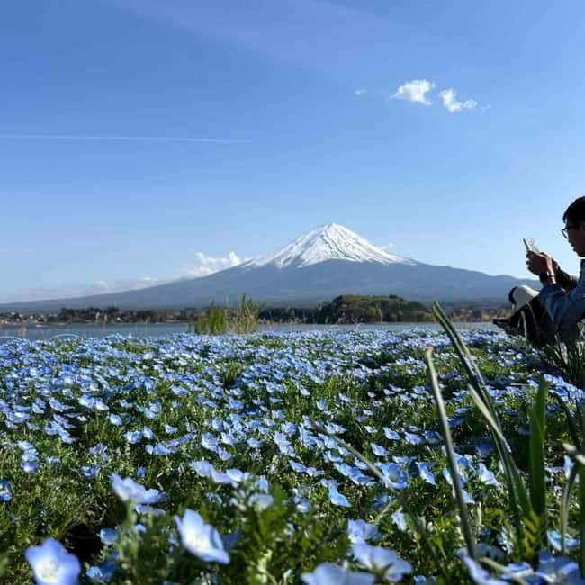 Mount Fuji Private day tour from Tokyo private & Customized - Key Takeaways Before You Go