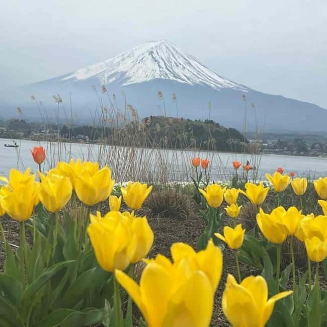 Mount Fuji Private day tour from Tokyo private & Customized - Mt. Fuji View Stop: The Photo Stop That Depends on What the Sky Allows