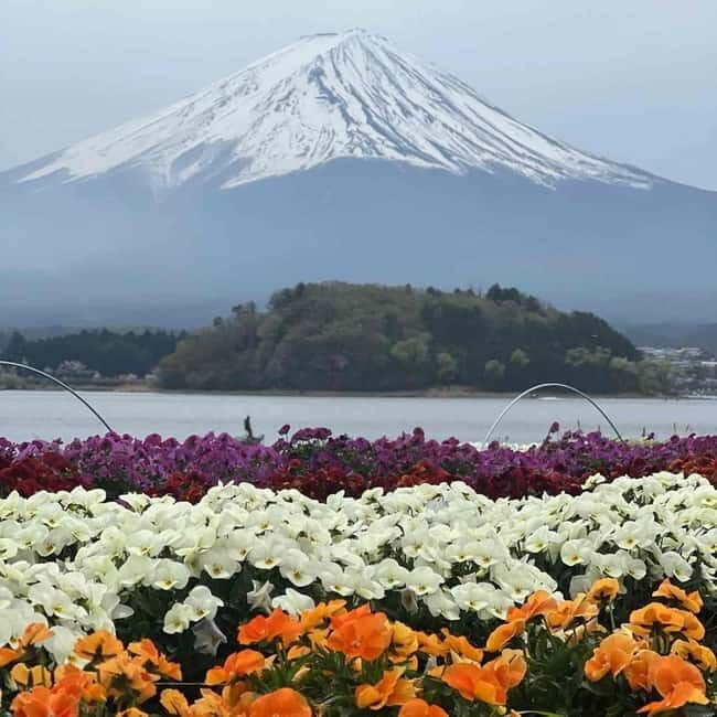 Mount Fuji Private day tour from Tokyo private & Customized - Kitaguchi-hongu Fuji Sengen Shrine: Tradition Without the Museum Vibe
