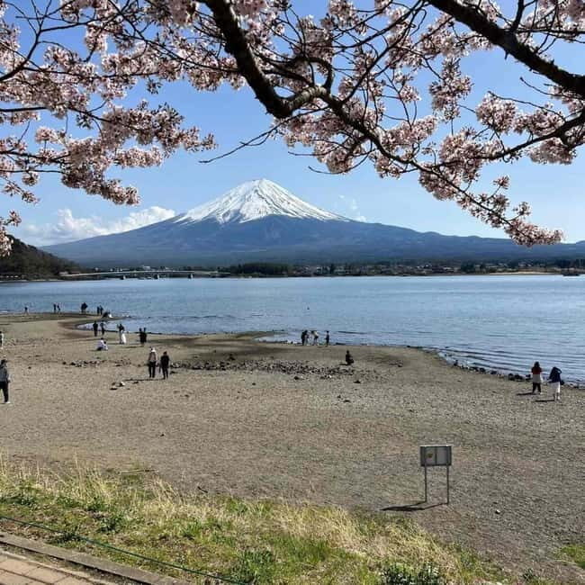 Mount Fuji Private day tour from Tokyo private & Customized - Toyota Vellfire Comfort and a Driver-Guide You Can Actually Ask Questions