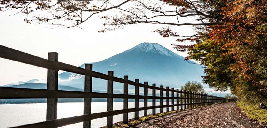 Mount Fuji Private Day Trip With Customizable Itinerary - Your Driver-Guide: Comfort, Safety, and the Importance of Clear Expectations