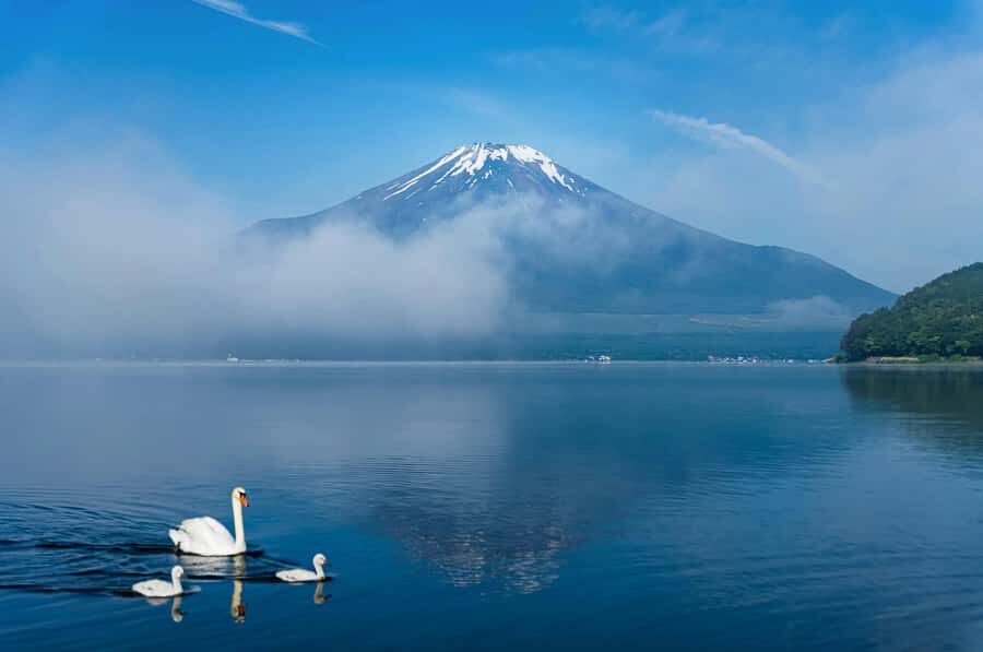 Mount Fuji Private Day Trip With Customizable Itinerary - Getting From Tokyo to Fuji: The Part You’ll Actually Notice