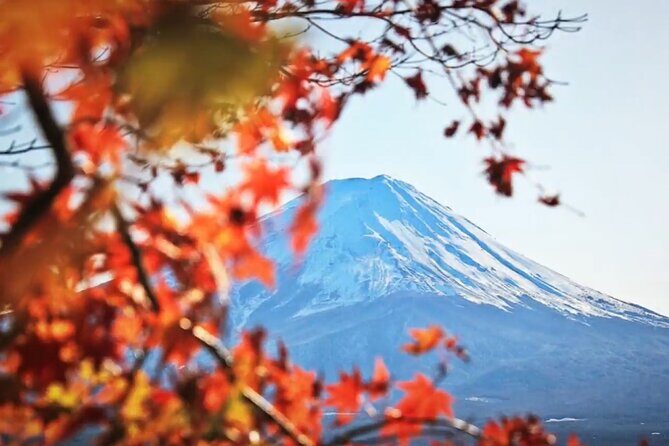 Mount fuji Private Tour - Oshino Hakkai: photos, springs, and a little shopping time