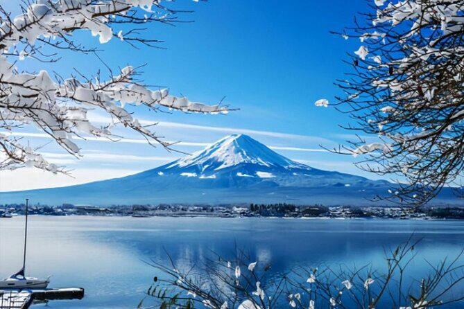 Mount Fuji Private Tour from Tokyo with English Speaking Driver - Key Things to Know Before You Go